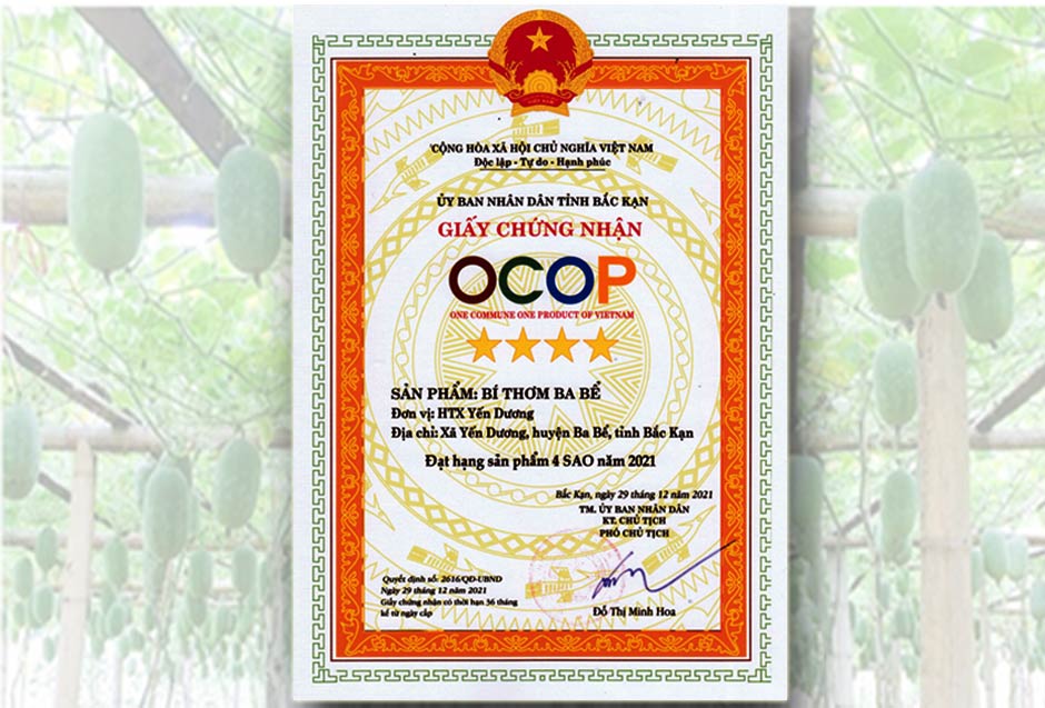 Bí thơm được Ủy ban Nhân dân tỉnh Bắc Kạn chứng nhận sản phẩm OCOP 4 sao.