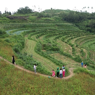 Farm tour Vifotec: Trải nghiệm về nỗ lực “Giữ gìn bản sắc nông nghiệp Việt”