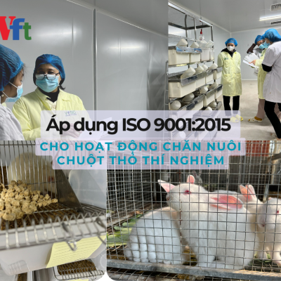 Công ty Vifotec áp dụng ISO 9001:2015 cho hoạt động chăn nuôi chuột thỏ thí nghiệm