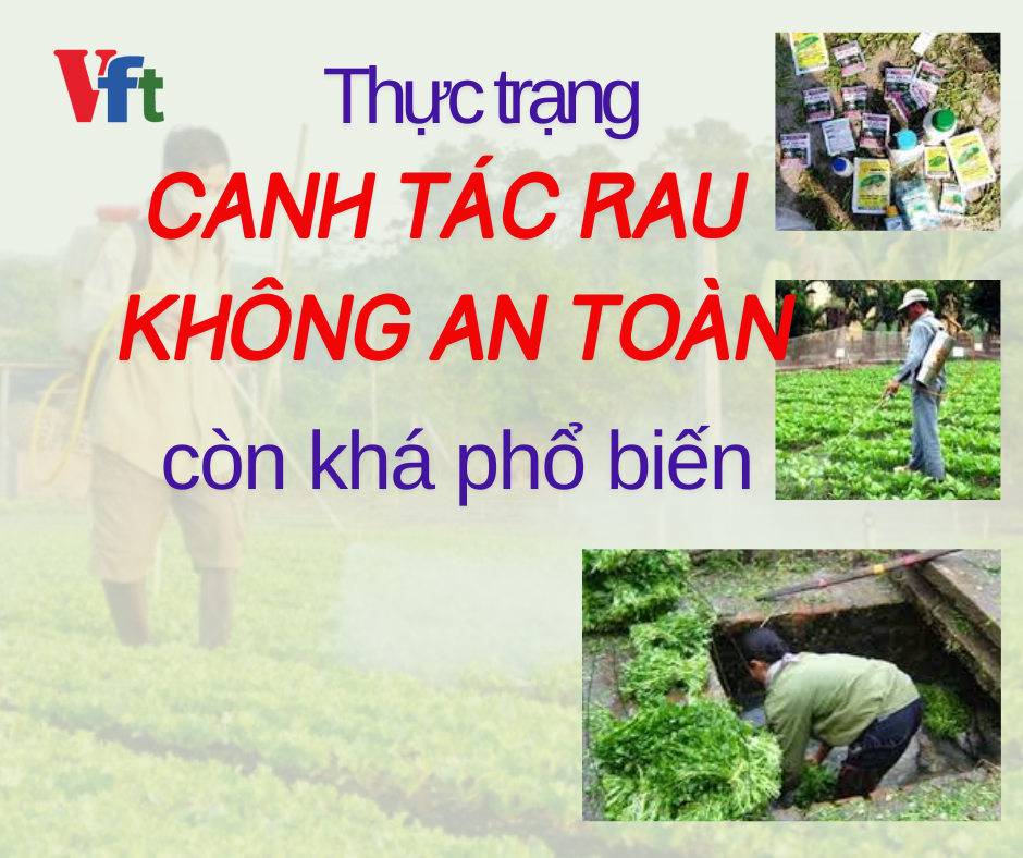 canh tac rau khong an toan