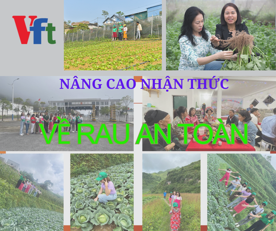 Nang cao nhan thuc ve rau an toan